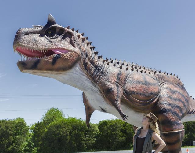 Jurassic Encounter lands at Bull Run Regional Park, Headlines