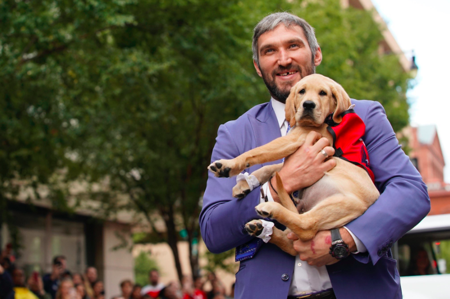 The Washington Capitals Have a New Team Puppy - Washingtonian