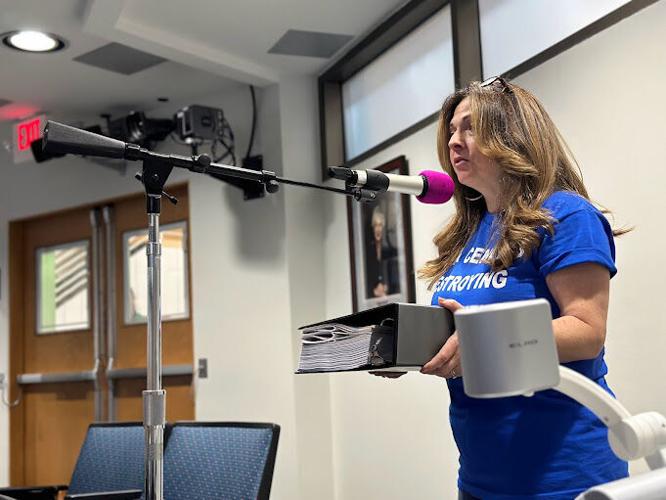 Elena Scholssberg PW Digital Gateway Hearing