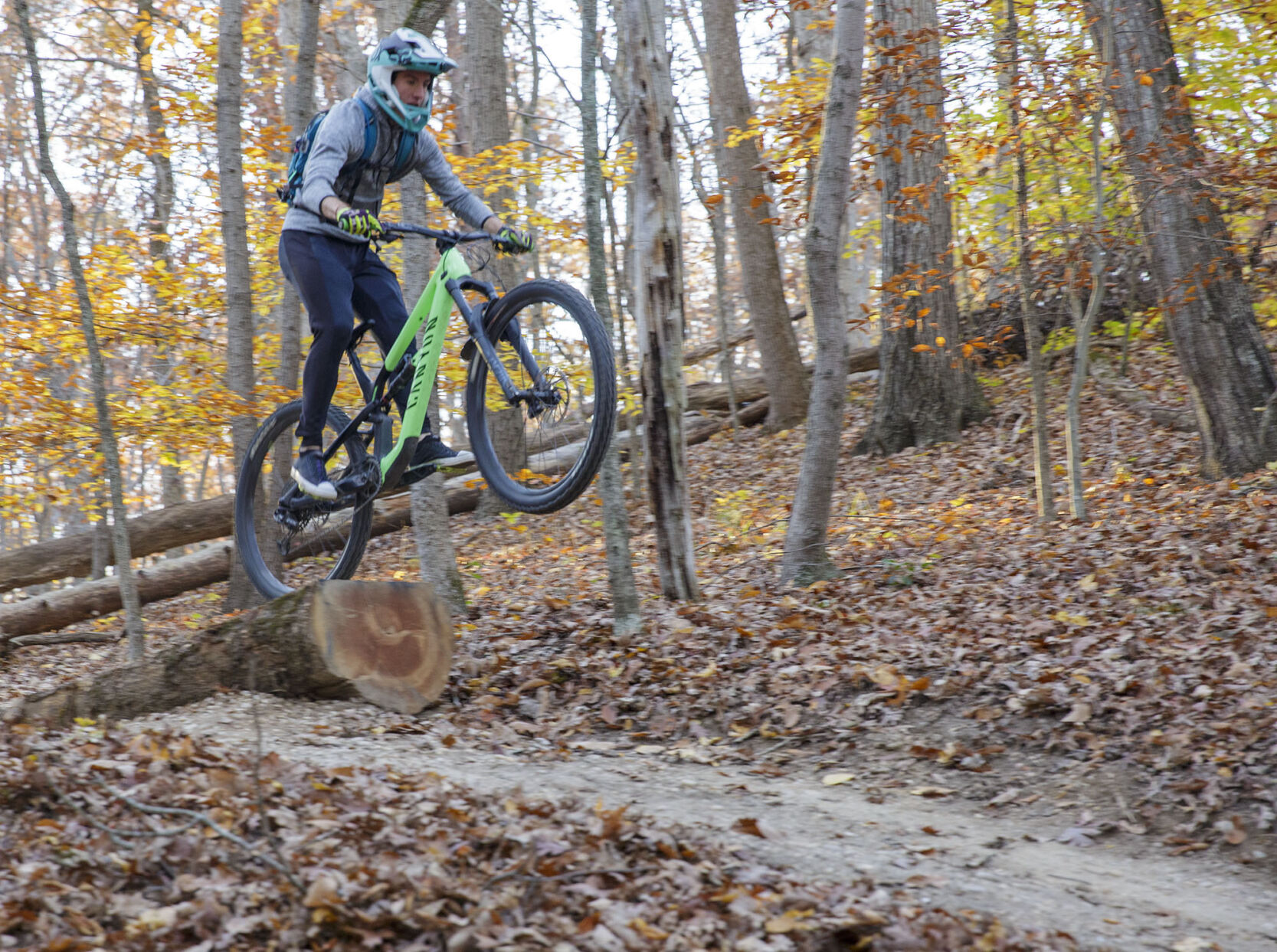 Shaded bike trails near shop me