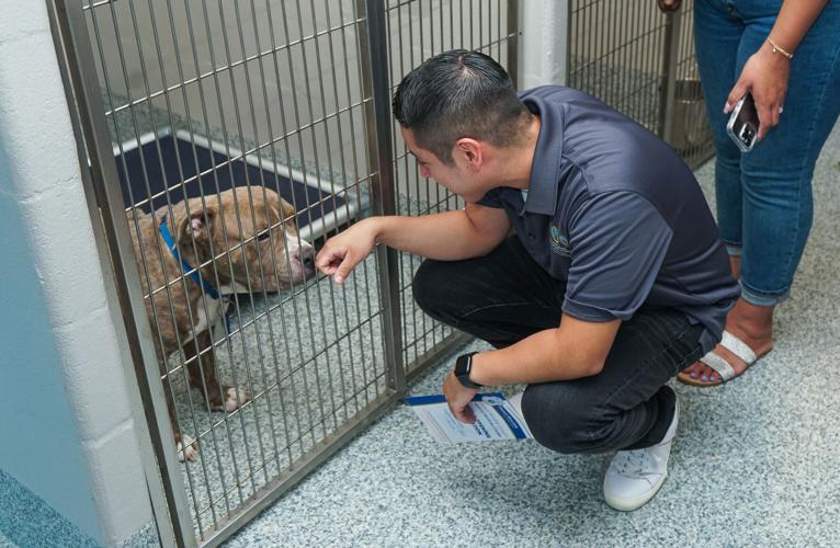 PHOTOS: A new home for shelter pets in Prince William County | Headlines |  