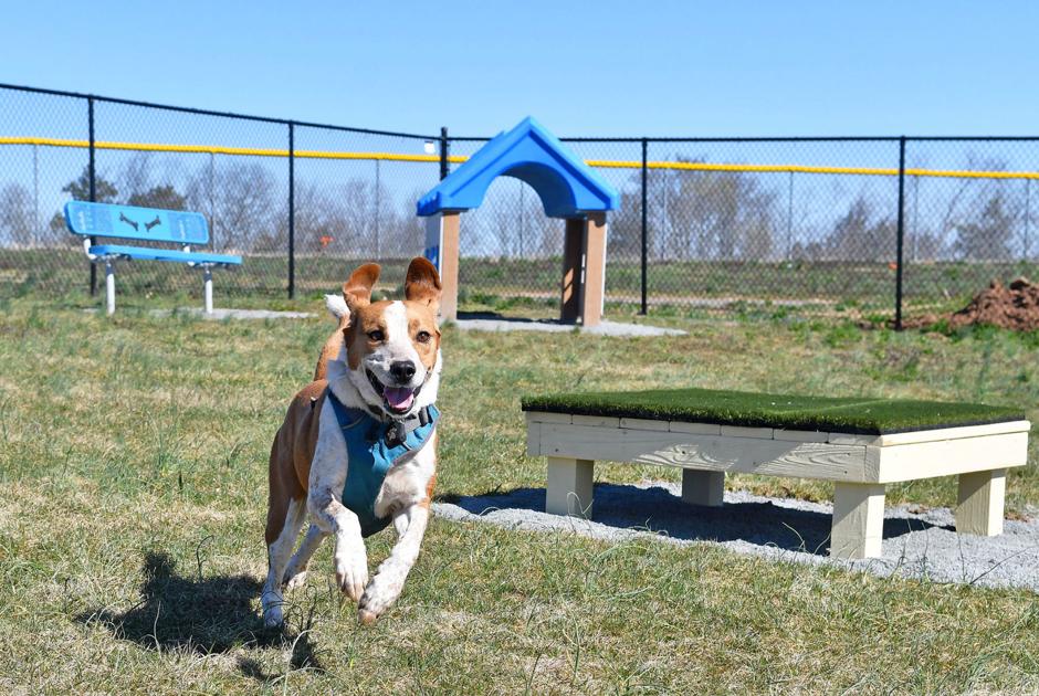Fairfax officials seeking input on draft dogpark proposals news