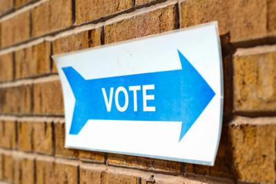 Arlington Board Sets Action On Creating More Satellite Voting Centers Election Insidenova Com