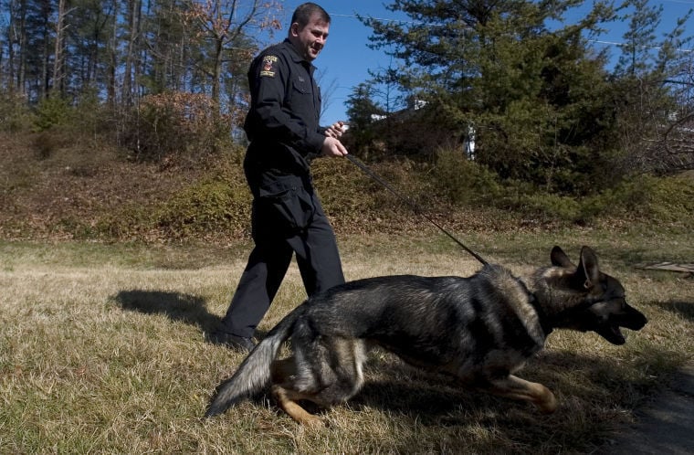 Moco hot sale k9 training