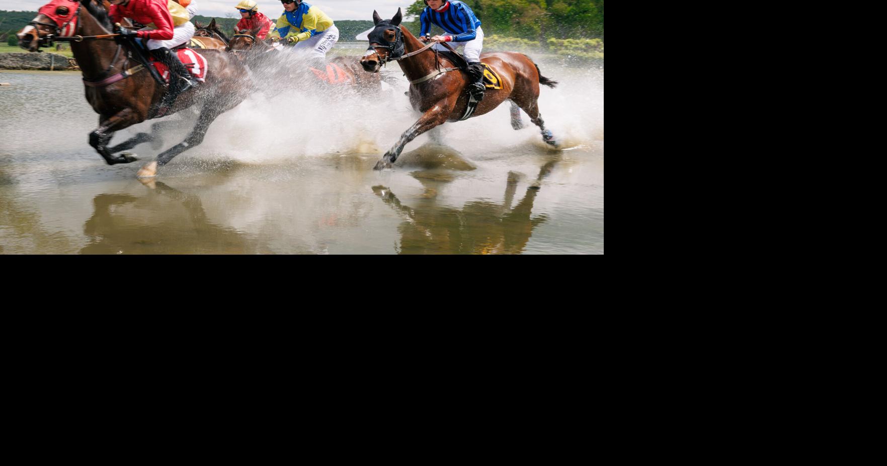 IN PHOTOS: The 100th running of Virginia Gold Gup in The Plains May 11, 2026 54 mins ago