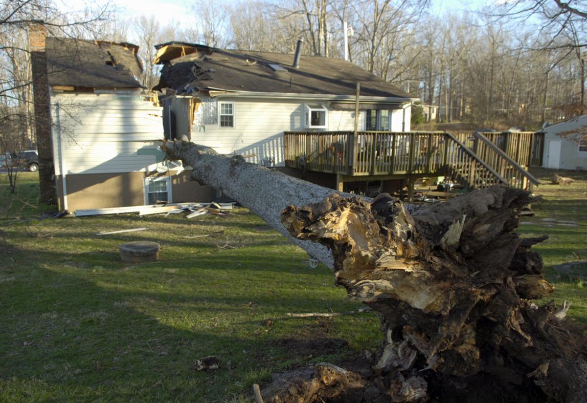 Stafford residents survive fallen tree News