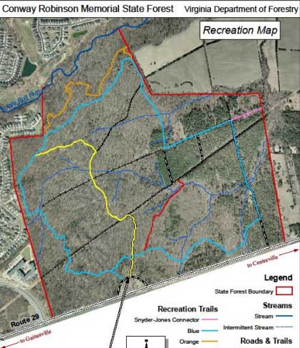 Conway Robinson State Forest in Gainesville to close for tree ...