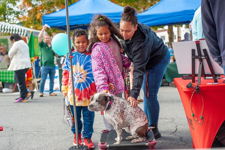 IN PHOTOS Thousands flock to the Manassas Fall Jubilee Headlines