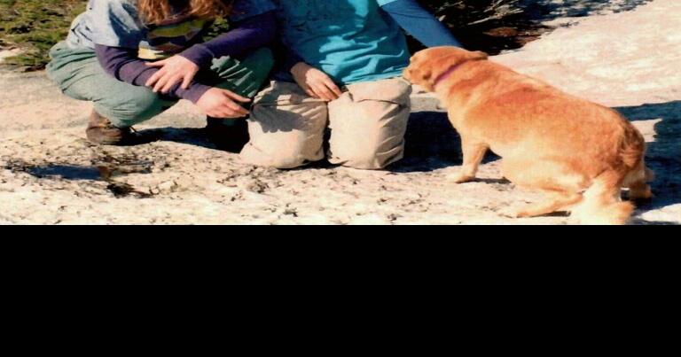 25 years later, FBI still seeks clues in hiker murders at Shenandoah ...