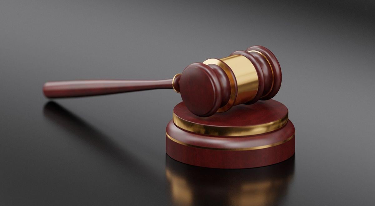 Wilson's Wild Animal Park owner, nephew plead in animal cruelty case | Headlines Wilson's Wild Animal Park owner, nephew plead in animal cruelty case | Headlines