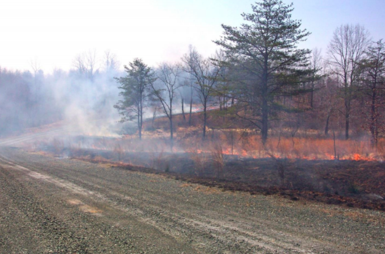 Controlled Burn Scheduled At Quantico Today Headlines Insidenova Com