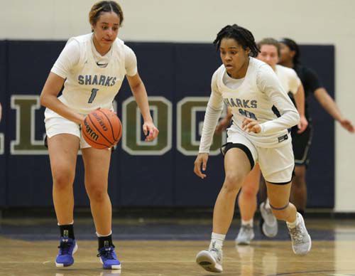 PHOTOS: Colgan girls basketball in state quarterfinals | Prince William ...