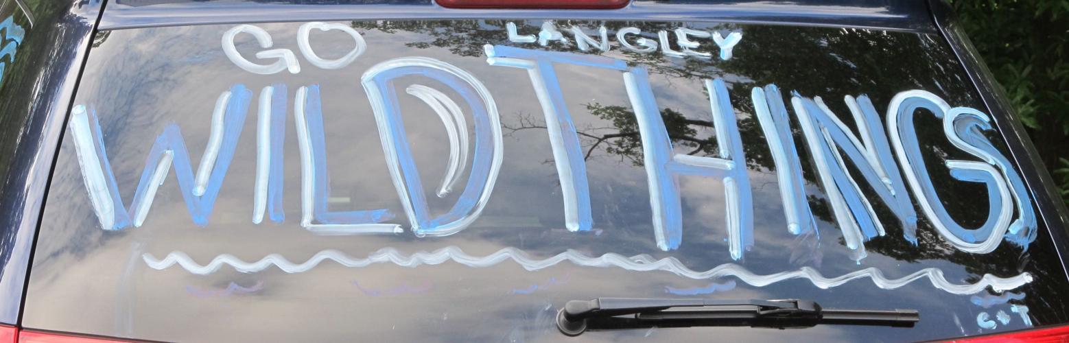 PHOTOS Langley vs. Dunn Loring swim meet Sports