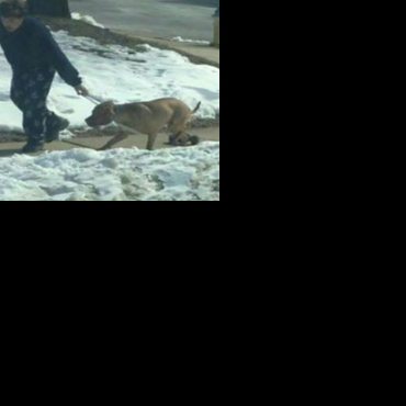 UPDATED: Manassas man charged with animal cruelty after dog photo goes ...