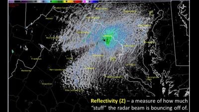 What S That On Weather Radar Cicadas Headlines Insidenova Com