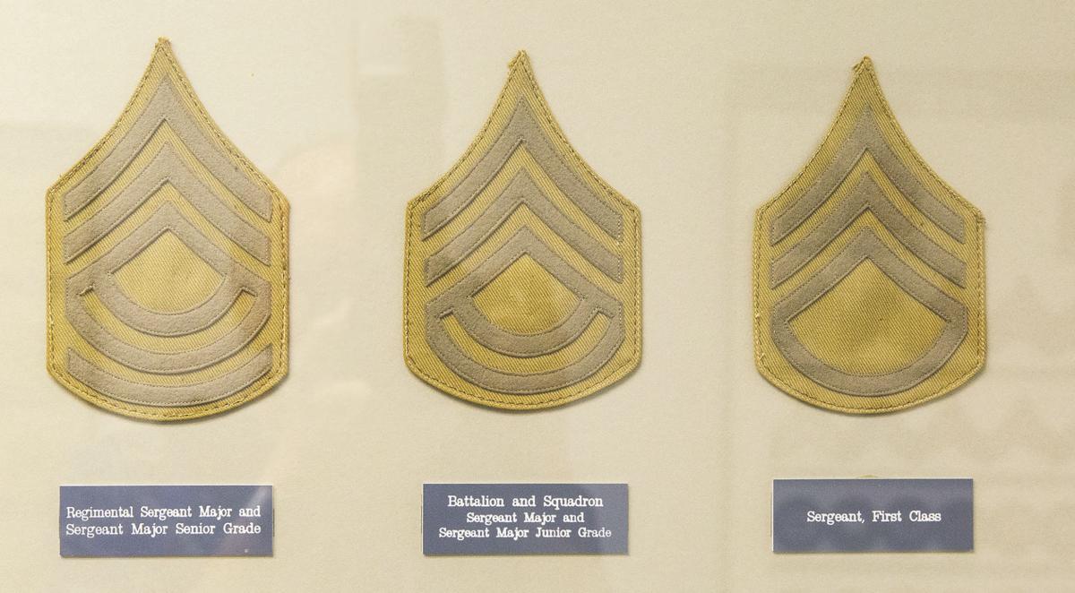 Institute of Heraldry 17.jpg