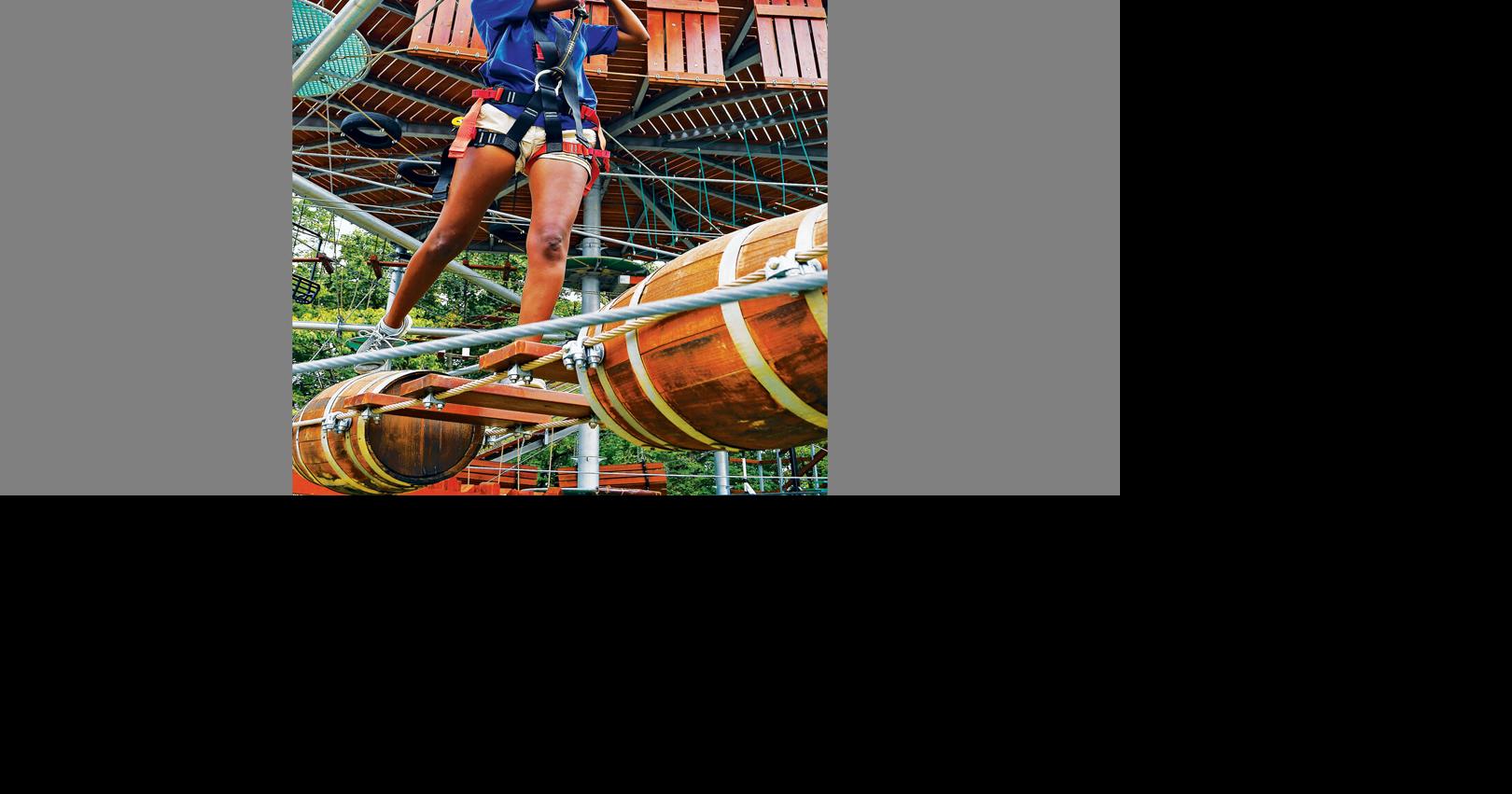 New ropes course at regional park in Arlington a collaborative effort ...