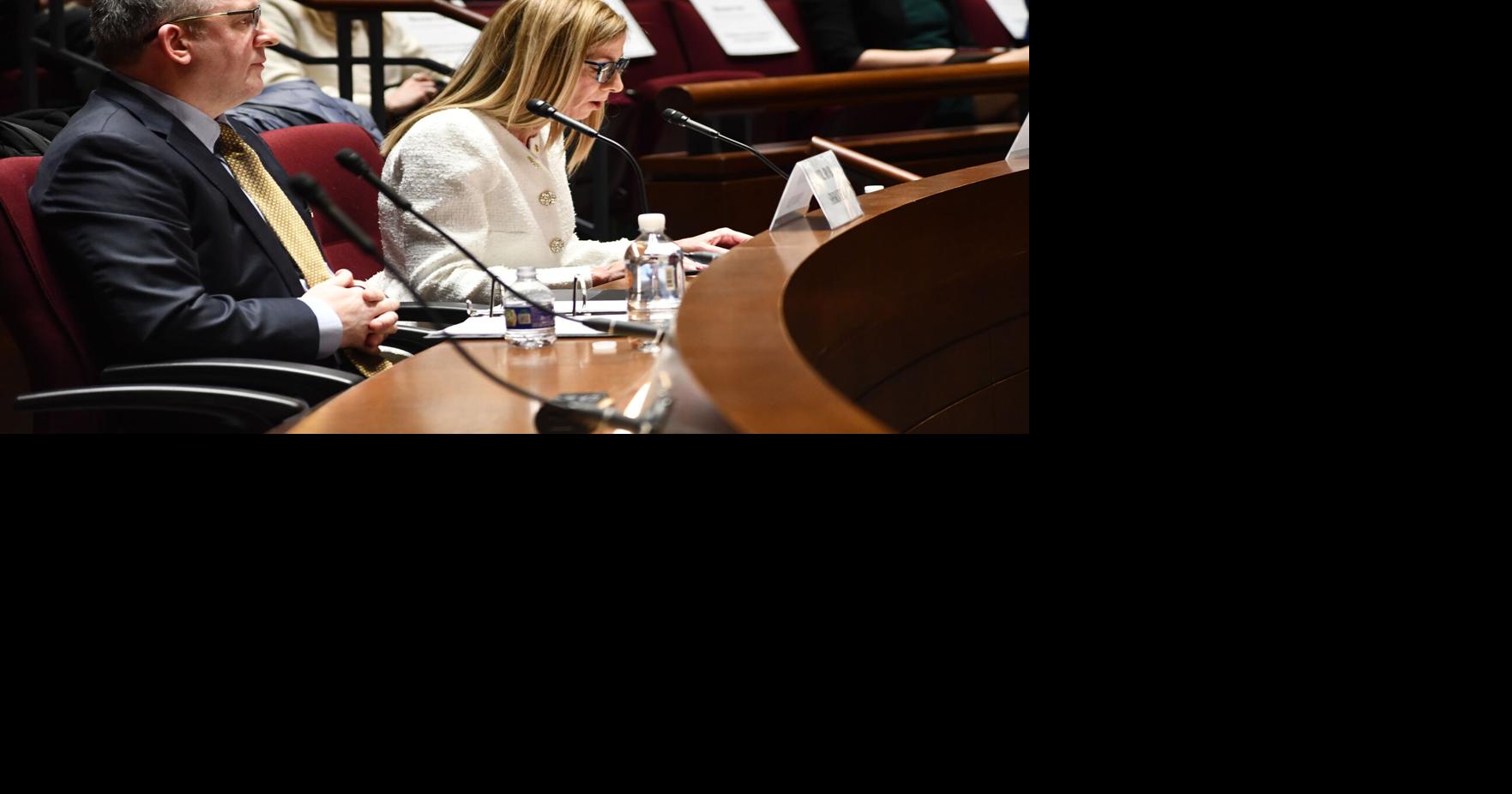 House Oversight Democrats, Northern Virginia congressmen hear federal workers' pleas at Fairfax hearing