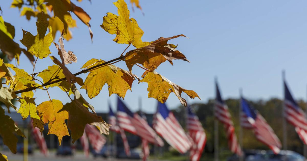 Veterans Day Forecast: Cool Temps, Warm Tributes Nationwide