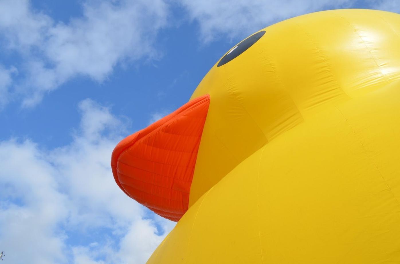 World's Largest Rubber Duck coming to Maryland
