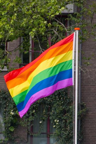 rainbow-flag-4398946_1920.jpg