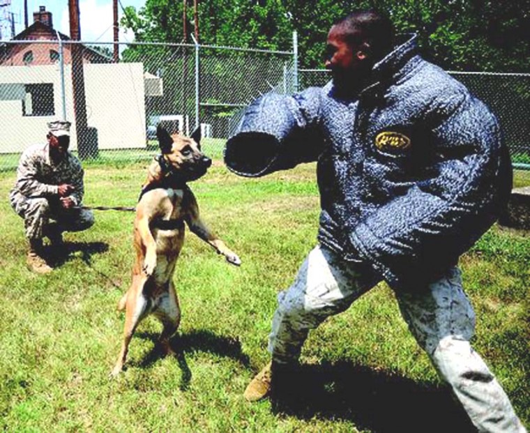 Ryan's k9 sale boot camp