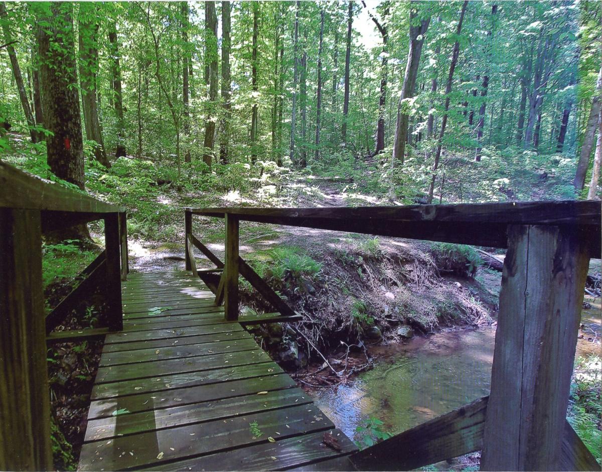 Prince William Forest Park Planning 13 Miles Of New Trails News Prince William Insidenova Com Prince William Forest Park Planning 13 Miles Of New Trails News Prince William Insidenova Com