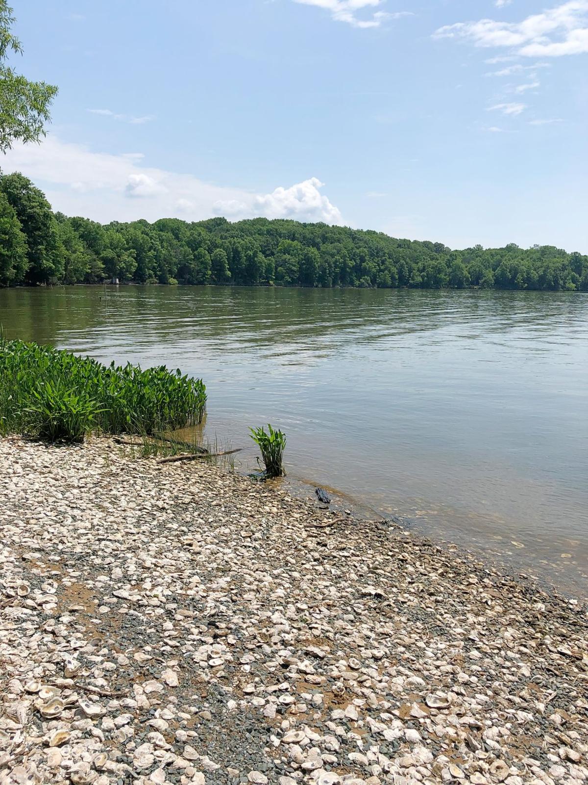 Get Outside Stafford’s trails and parks are ready for summer news