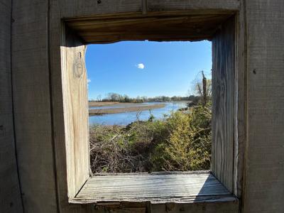 Occoquan Bay NWR