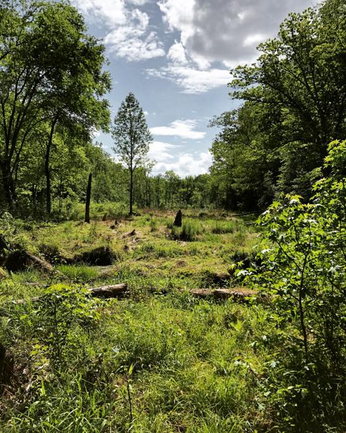 Get Outside Stafford’s trails and parks are ready for summer news