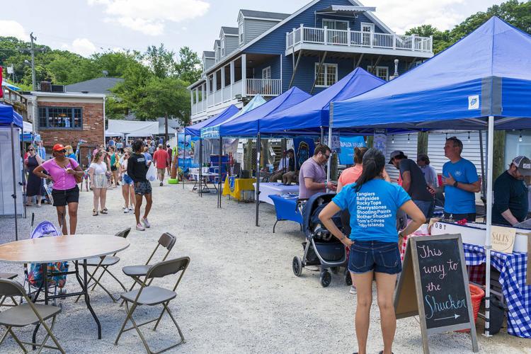 PHOTOS Occoquan RiverFest and Craft Show Multimedia
