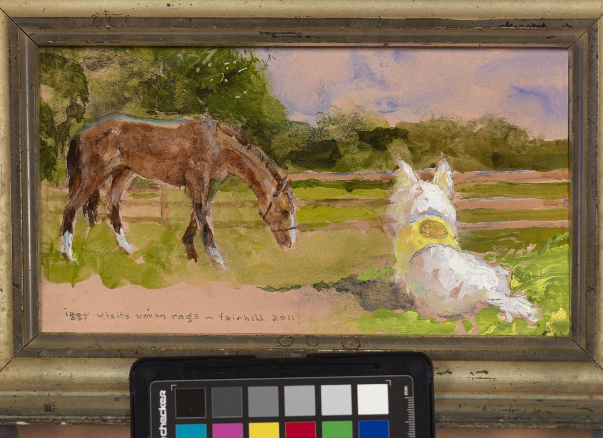 Exhibition Honoring Phyllis Mills Wyeth On View At National