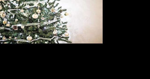 How to dispose of your Christmas tree in Northern Virginia - Vimarsana News