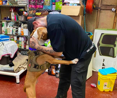 UPDATED: Service dog missing since crash on I-95 has been found safe - Vimarsana News