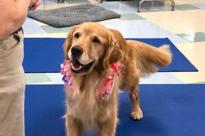 How dog program helps Northern Va. students meet their educational ...