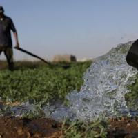 Drought-hit Morocco turns to desalination to save vegetable bounty