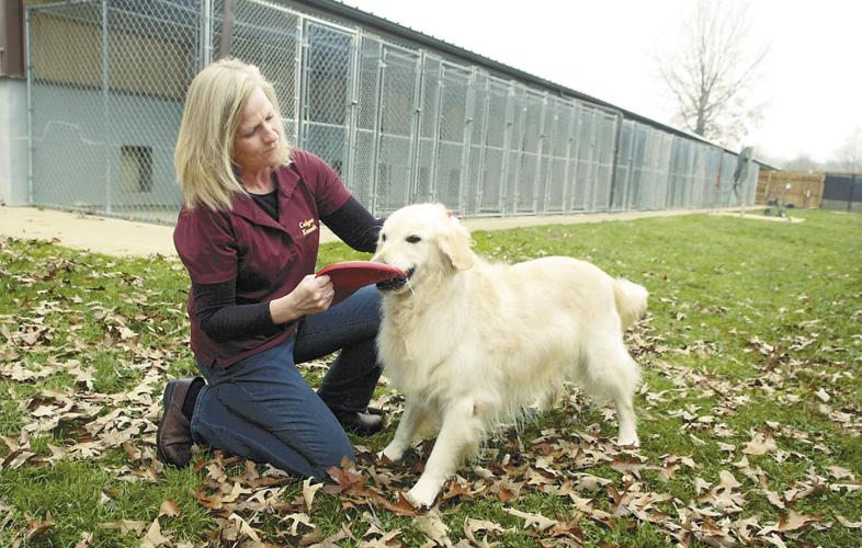 Stafford's Calypso kennels celebrates milestone Stafford