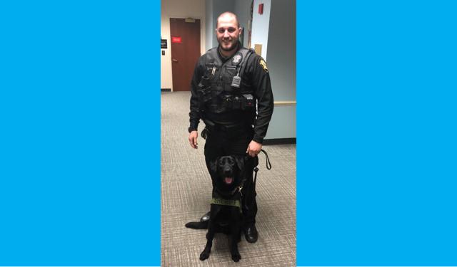 Arlington Sheriff s Office Welcomes New K 9 News arlington