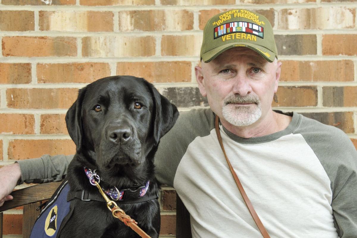 K9 Training Leashes for Veteran/'s P.A.W.S.