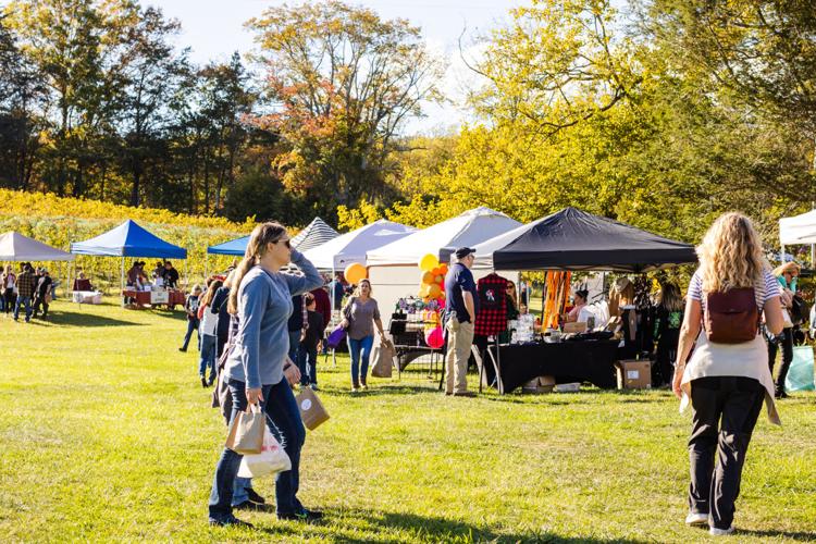 GALLERY Culpeper festival goers enjoy winery's fall festival, craft