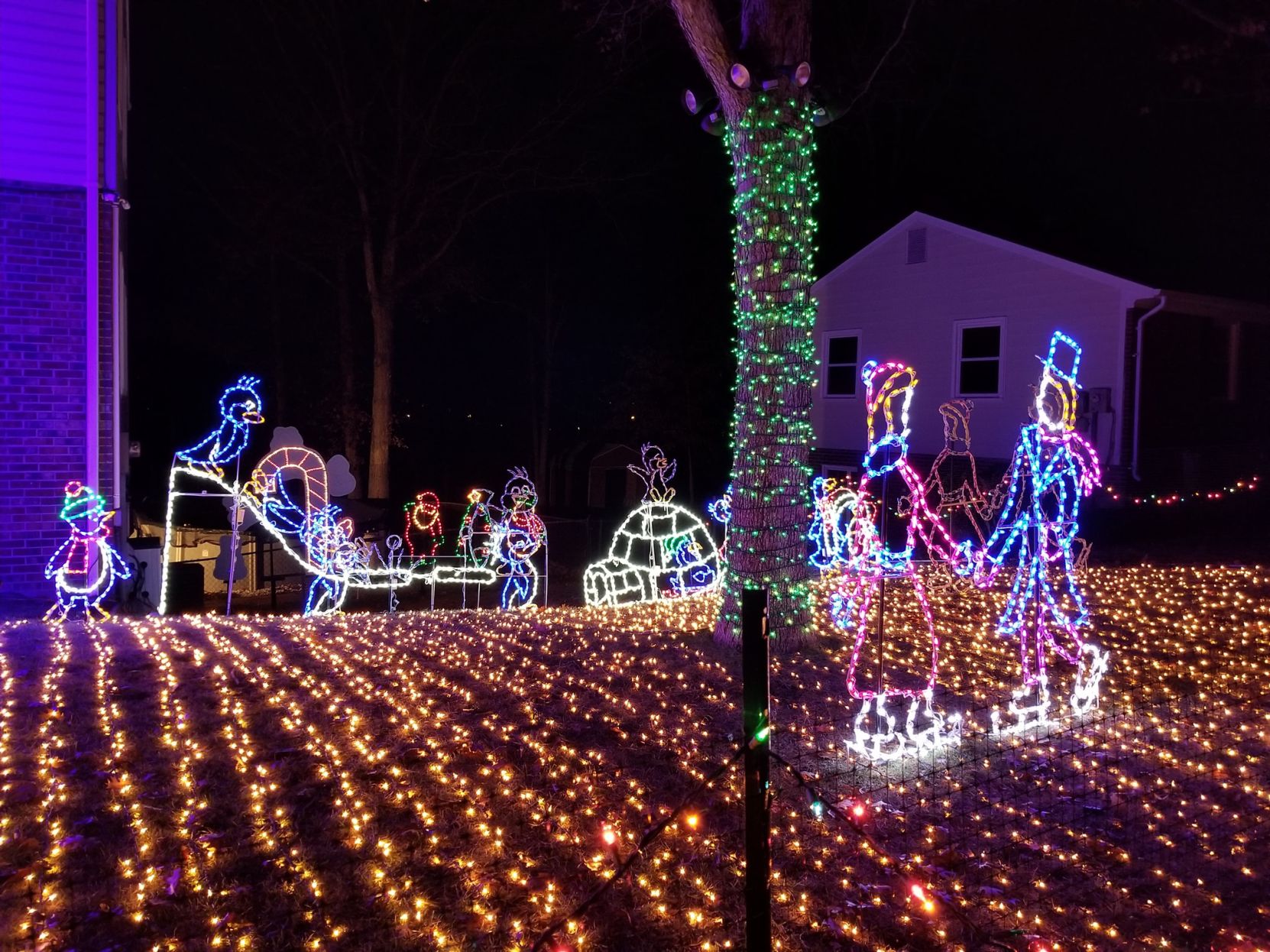 christmas ground lights