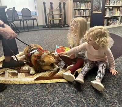 Culpeper library hosts therapy dogs for reading kids | InsideNoVa ...