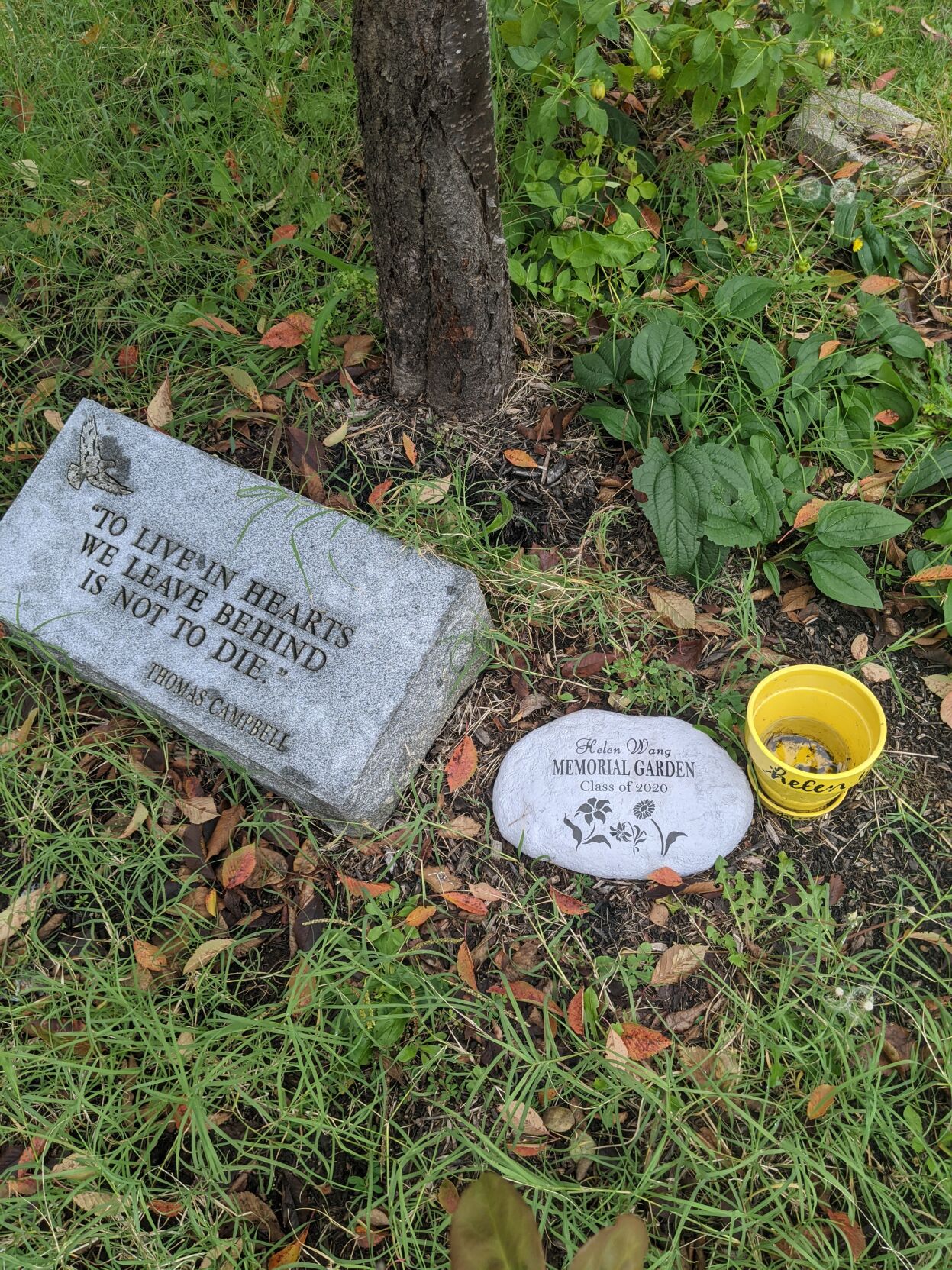 STAFFORD Helen_s Law.jpg