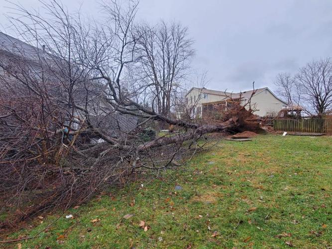 Tornado confirmed in Leesburg Friday morning Headlines