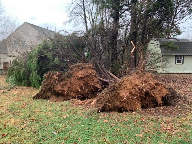 Tornado confirmed in Leesburg Friday morning Headlines