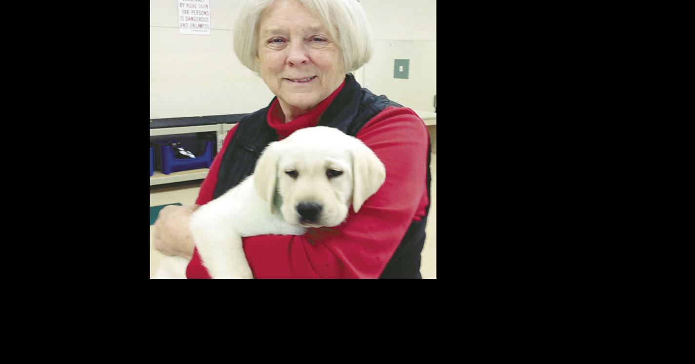 Love, affection, patience keys to training future public-safety dogs ...