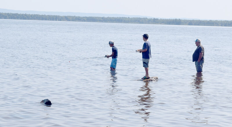 Free fishing equipment lures Arnprior kids to Ottawa River