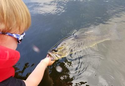 Limiting bass tournaments will help fish population: biologist, Dr. David  Philipp