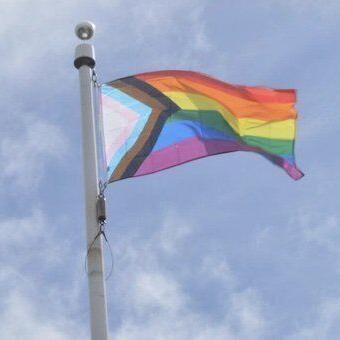 Pride kick off: Carleton Place raises Pride flag on June 1 - Vimarsana News