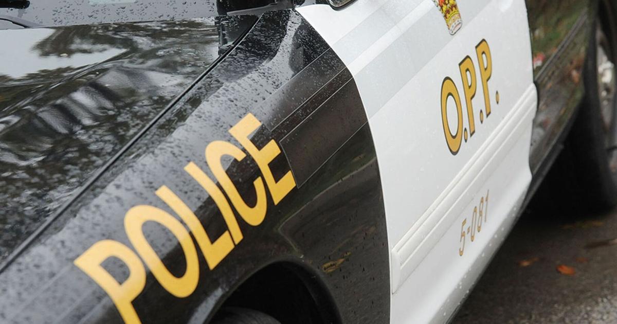 Deb Opp Upper Ottawa Valley OPP reports 30 domestic disputes